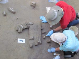 Two researchers, on their hands and knees over gray soil, work to unearth archaeological specimens using a small wooden implement and brushes.