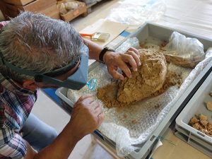 A close-up photo of Professor Anagnostis Agelarakis, PhD, taken from over his shoulder, as he examines an archaeological artifact in his lab. He is wearing a headset with a magnifier that gives him a close look at the artifact, which is in a container and is covered in soil. Another container contains archaeological objects that have been separated from the soil.