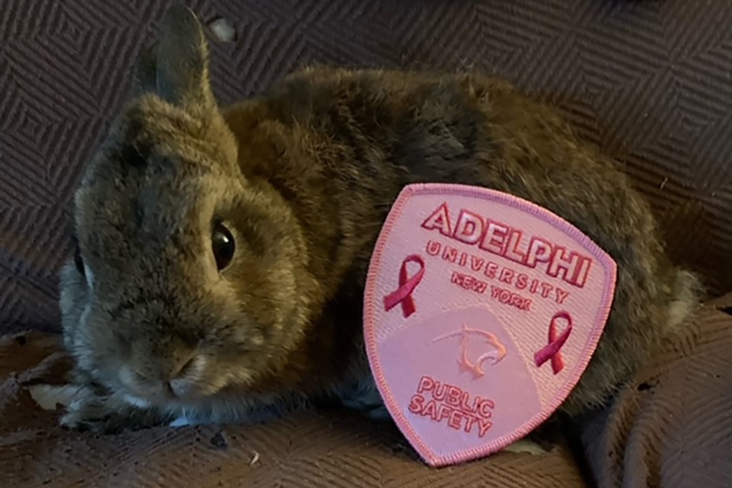 Pink Patch with bunny