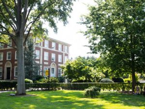 Trees, bushes and grass next to a large building