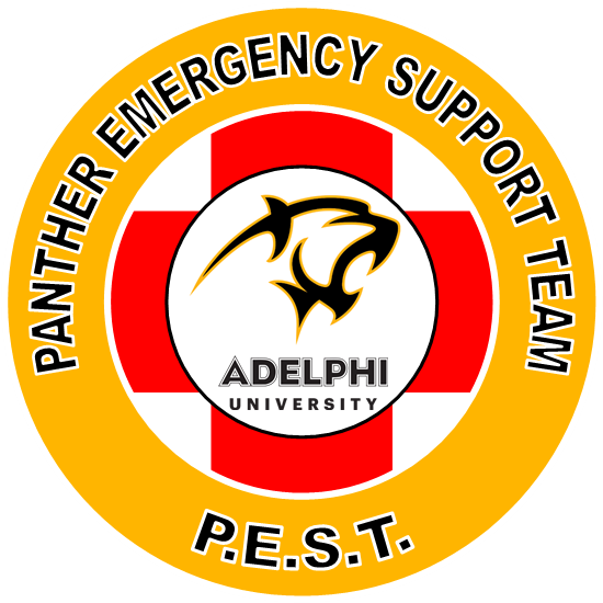 Adelphi Id Card