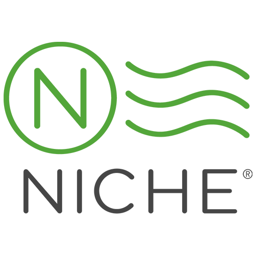 Niche Logo