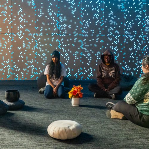 Adelphi's Mindfulness Center is a beautifully designed, soundproof environment and headquarters of a campuswide initiative to promote well-being.