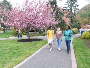 Adelphi students walking on campus near the UC