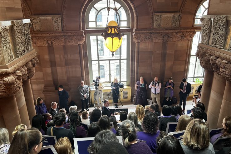 The New York State Coalition Against Domestic Violence holds a press conference at the State Capitol
