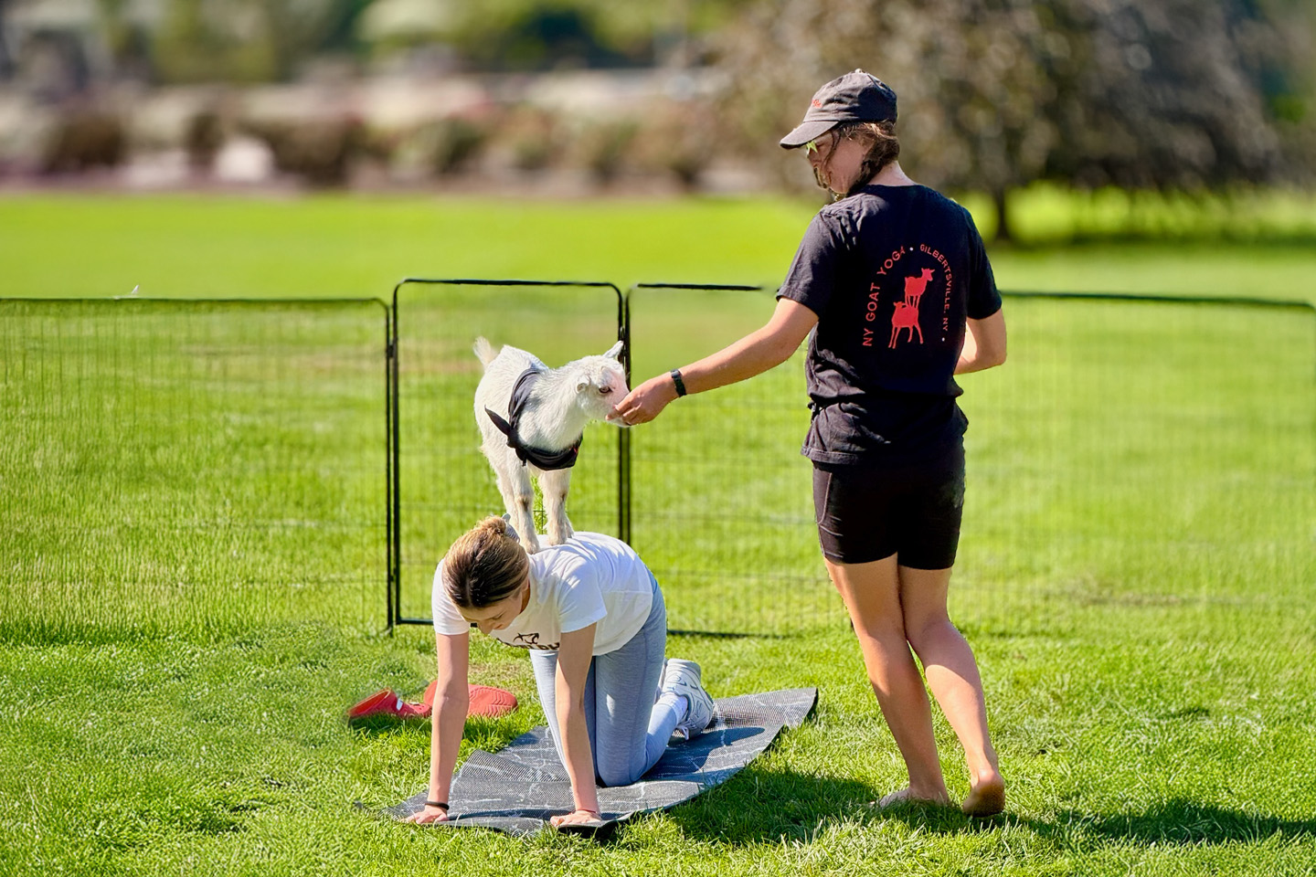 A baby goat stands on a student’s back as an instructor looks on.