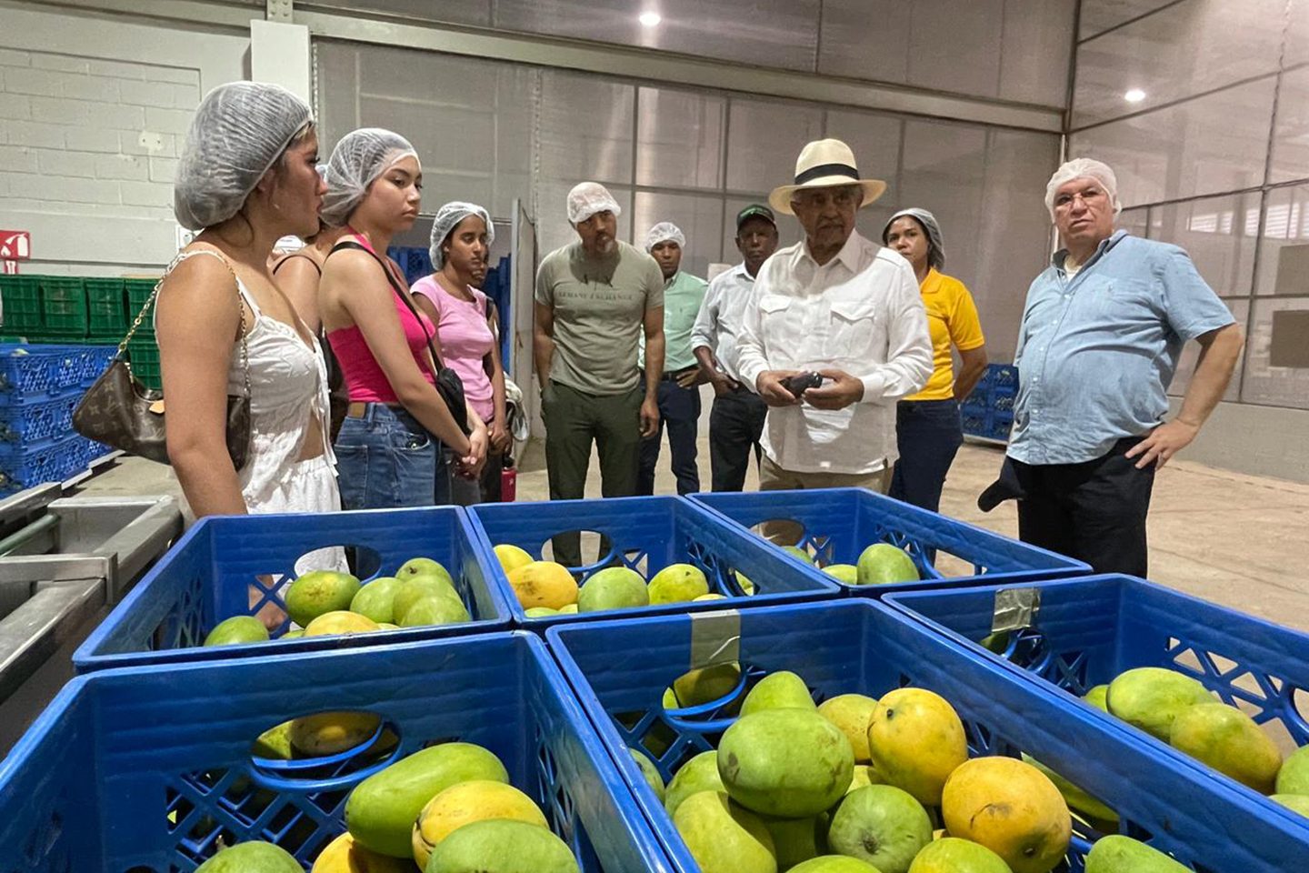 Faculty global connections create unique opportunities for students to experience local communities firsthand, including this visit to a mango farm in the Dominican Republic.
