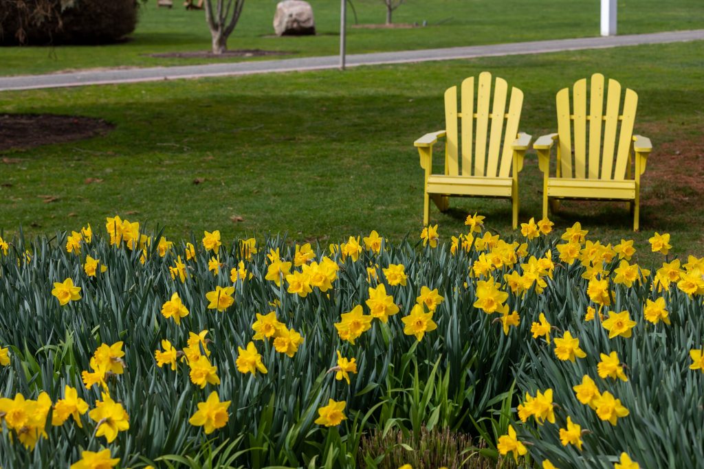 Register for Summer Classes Adelphi University