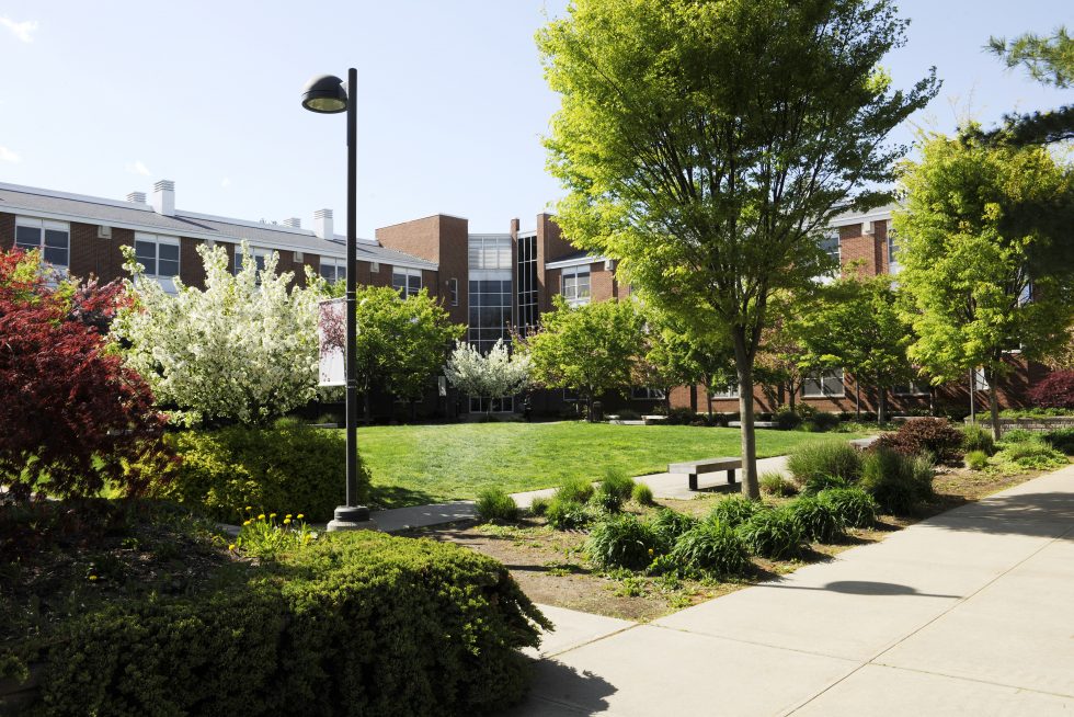 Visitor's Guide to Adelphi University