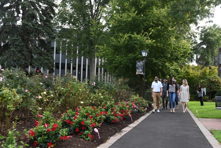 Students walking on our lush green campus pathway