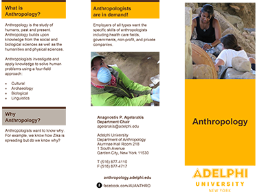 tri fold newsletter