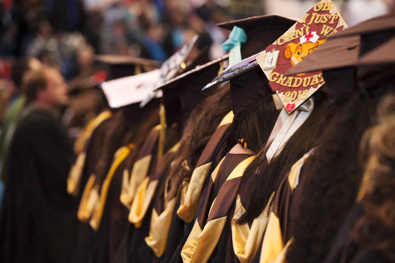 Transfer Student Success Statistics Adelphi University