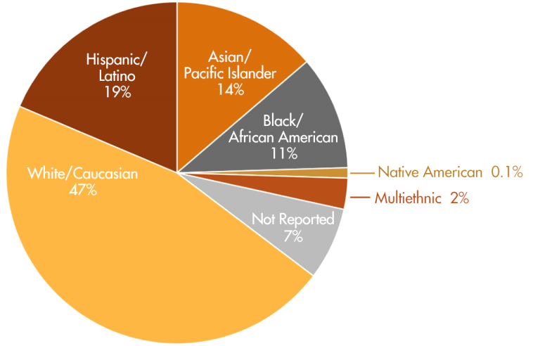ethnicity-pie-chart-percentages