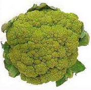 broccoflower