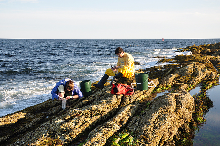 Environmental studies students in the field