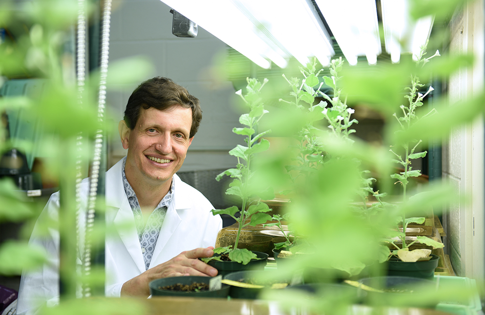 photo of Professor Heyl in a lab coat and surrounded by plants in a greenhouse