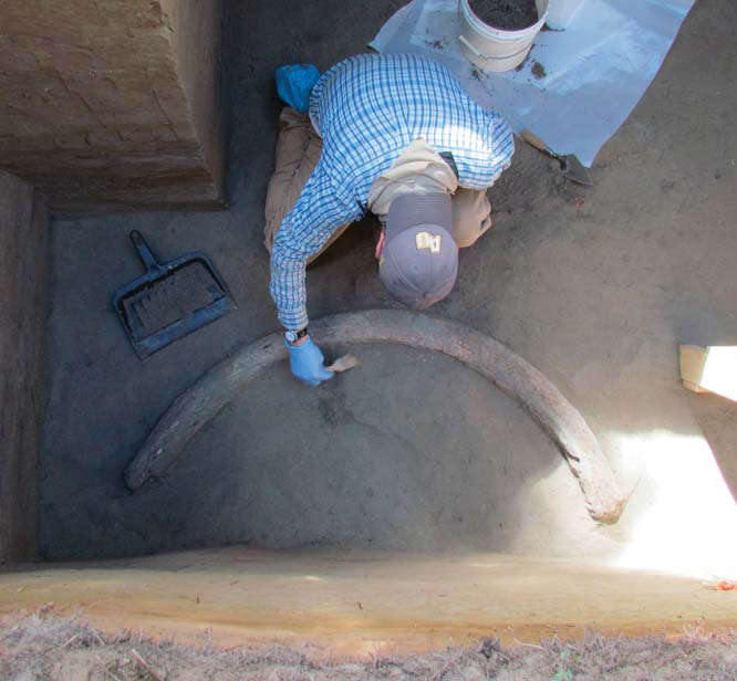 Man cleaning off the found tusk.