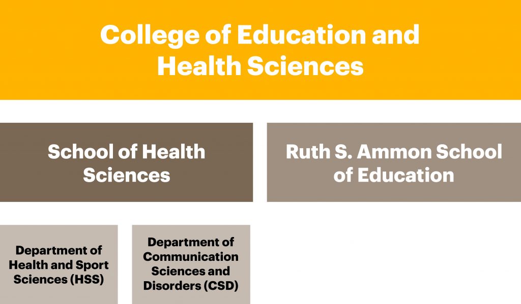 A chart displaying the new school names for the College of Education and Health Sciences. College of Education and Health Sciences has two schools underneath: The School of Health Sciences and the Ruth S. Ammon School of Education. Within the School of Health Sciences there are two departments for Health and Sport Sciences and Communication Sciences and Disorders.