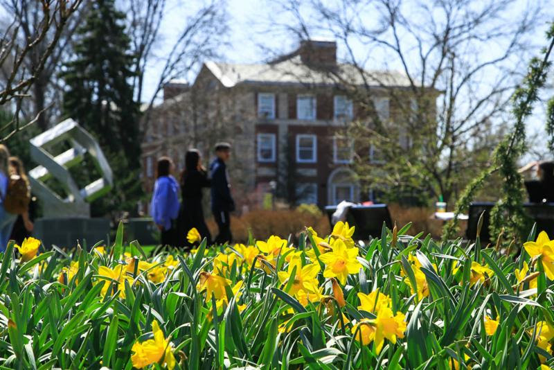 Flowers Blooming on Campus