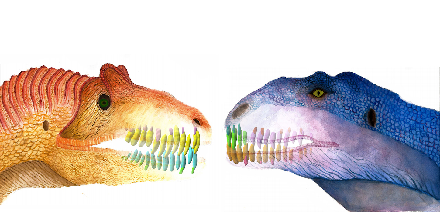 Study Reveals Dinosaur Replaced Teeth as Often as Sharks
