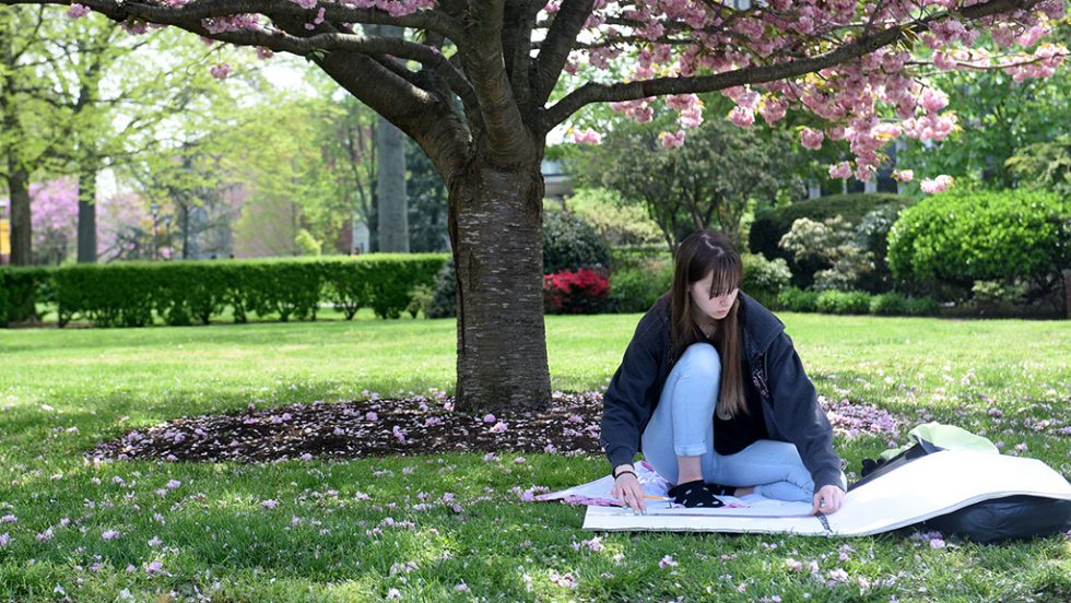 Adelphi Adopts Test-Optional Policy for Fall 2021, Spring 2022 Admission