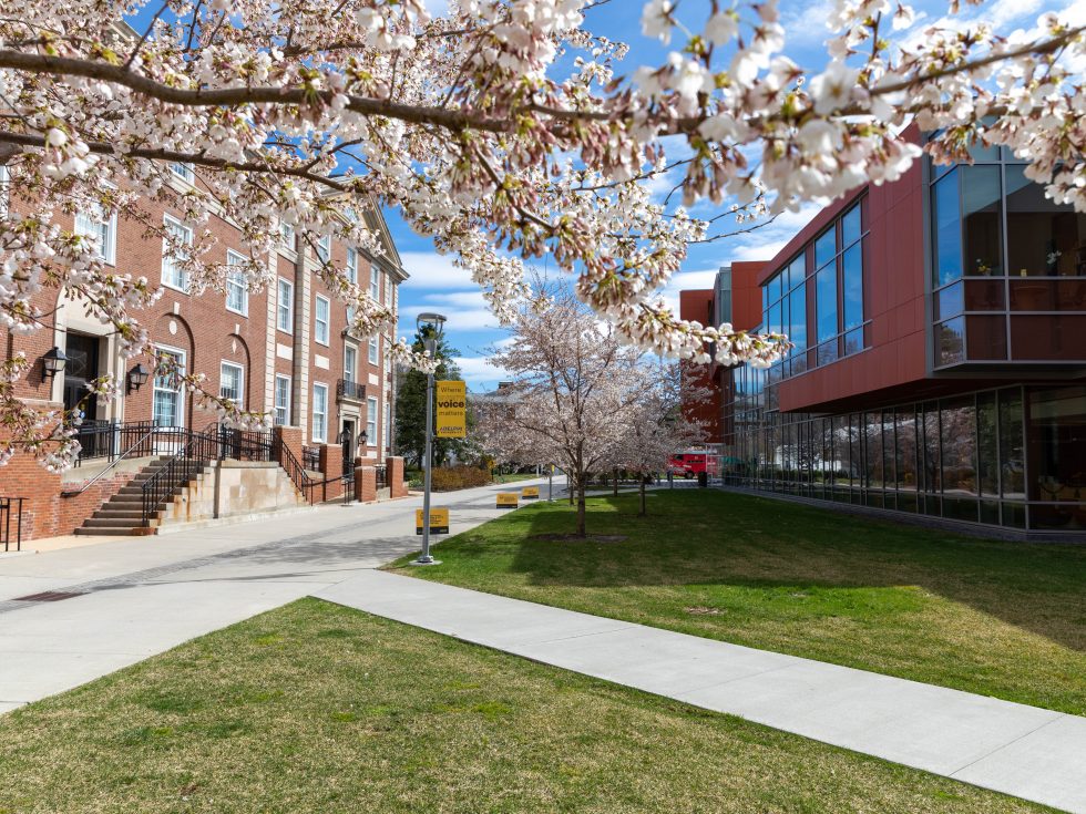 Adelphi campus in the spring
