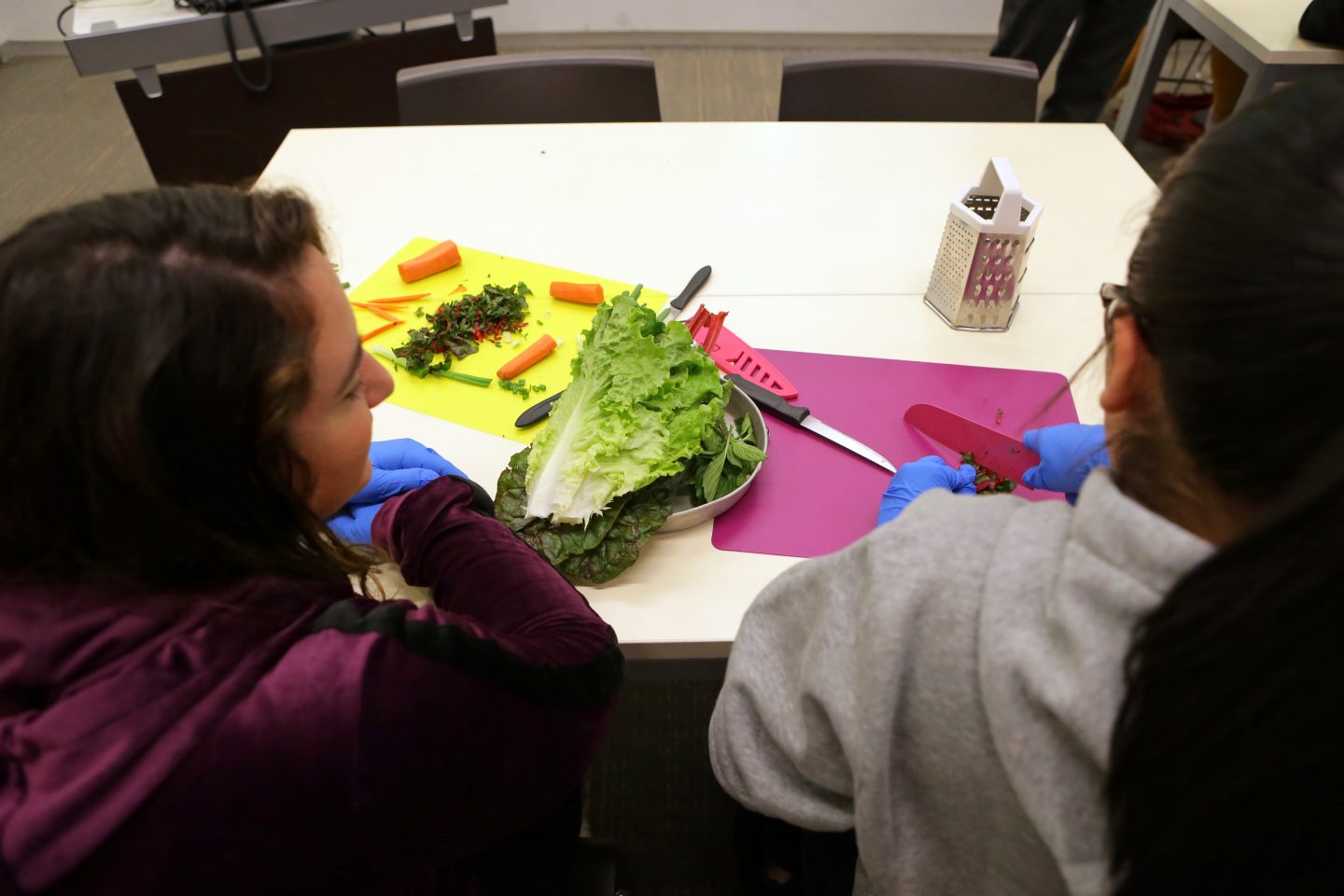 Master's Degree in Nutrition & Dietetics Online Nutrition Graduate