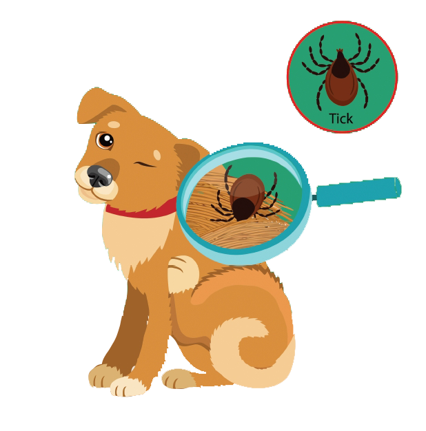 Cartoon image of dog with tick in its fur