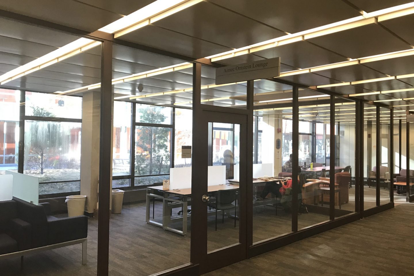 A view of the spacious study areas in the Aimee Ornstein Lounge