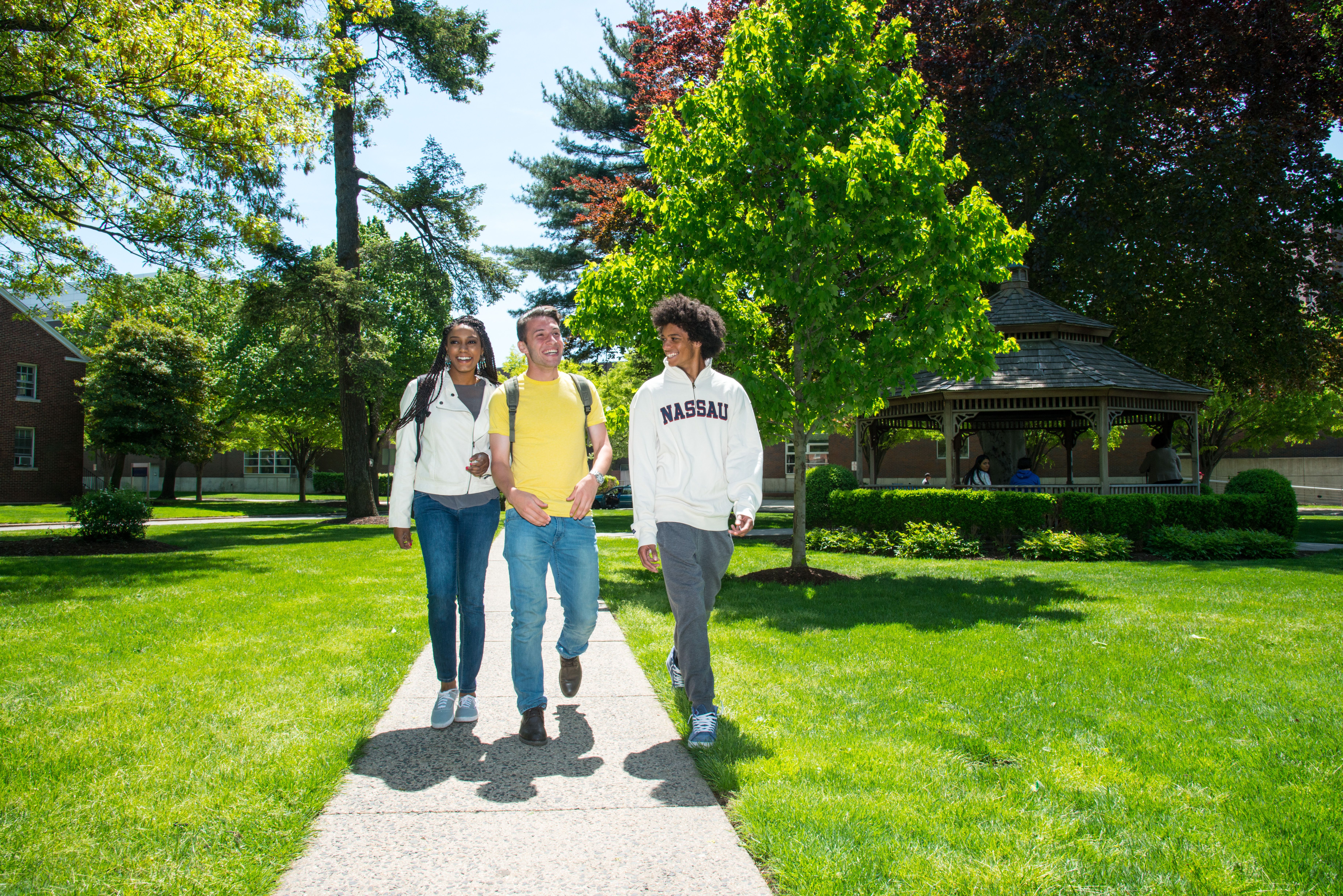 Nassau-Adelphi Gateway: Nassau Community College, Adelphi Launch  Co-Curricular Partnership for Student Success | Adelphi University
