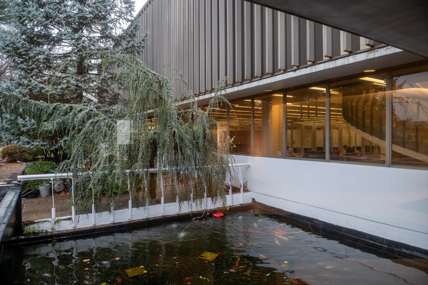 Take a break and enjoy the scenic view of the Swirbul Library’s exterior pond, a peaceful spot on campus.