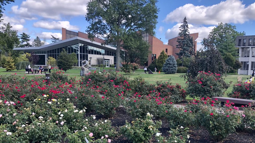 Adelphi University's rose garden with a view of the renovated UC.