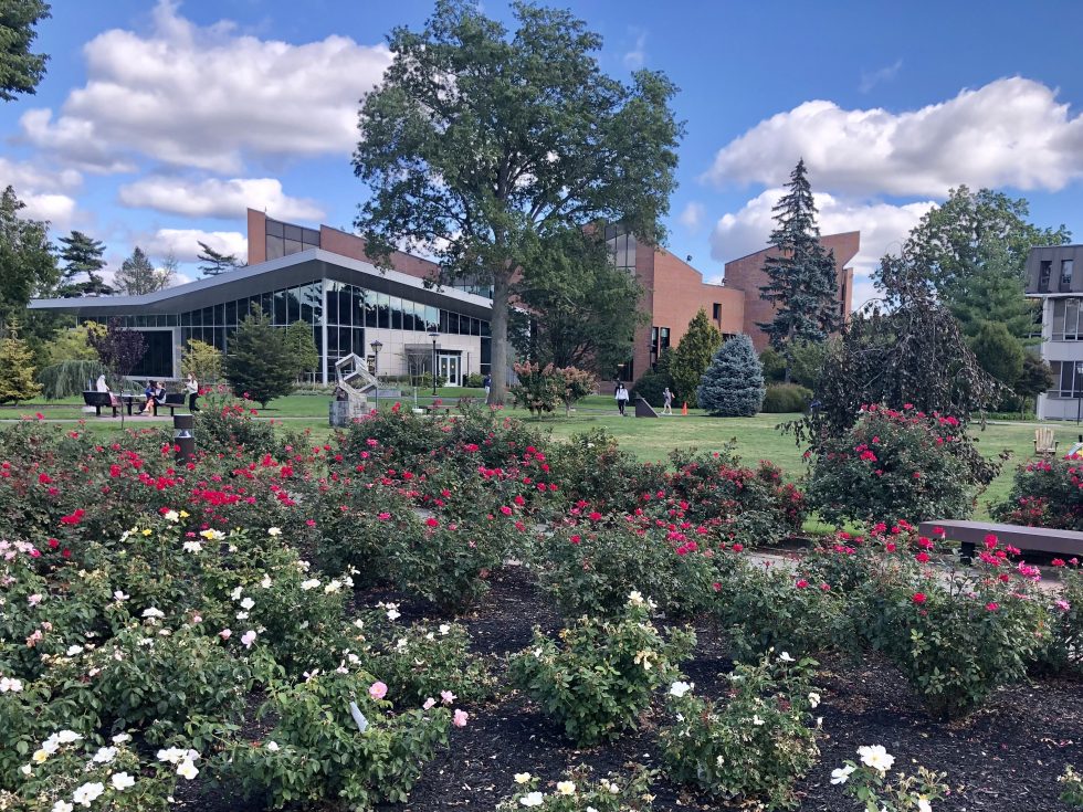 Adelphi University's rose garden with a view of the renovated UC.