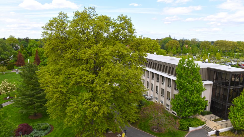 Hagedorn Hall peeking through the trees. Aerial View of Garden City Campus.