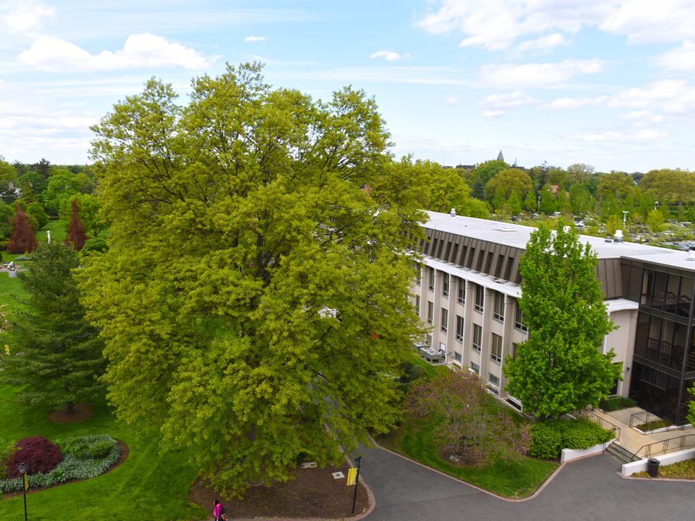 Hagedorn Hall peeking through the trees. Aerial View of Garden City Campus.