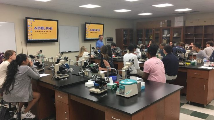 Adelphi Summer Pre-College 2022 Programs Return to In-Person | Adelphi University