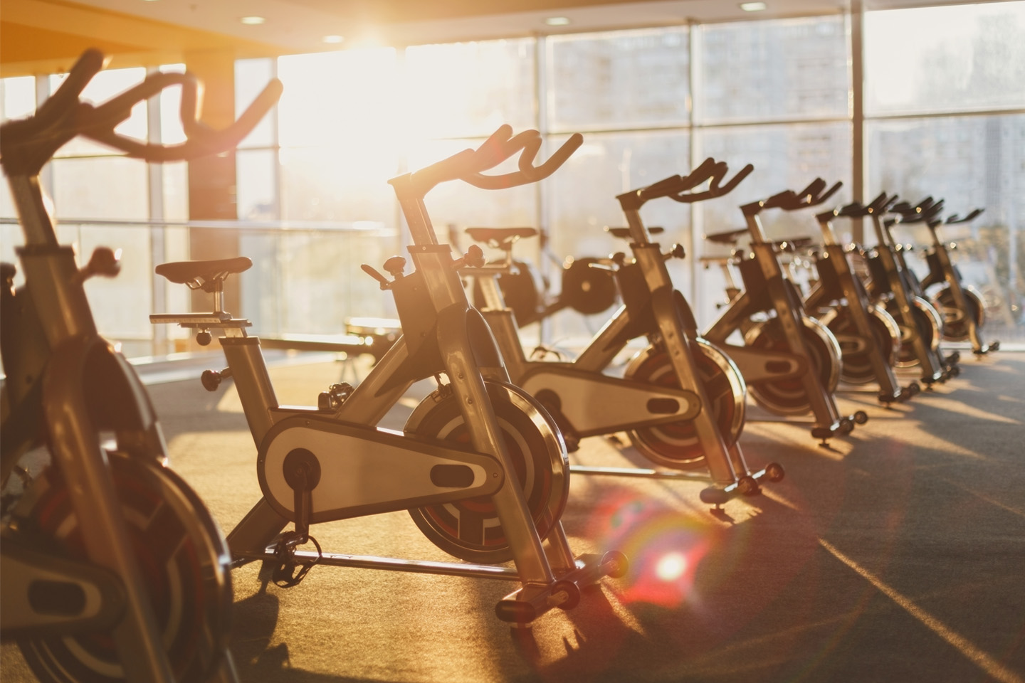 guy leech exercise bike big w