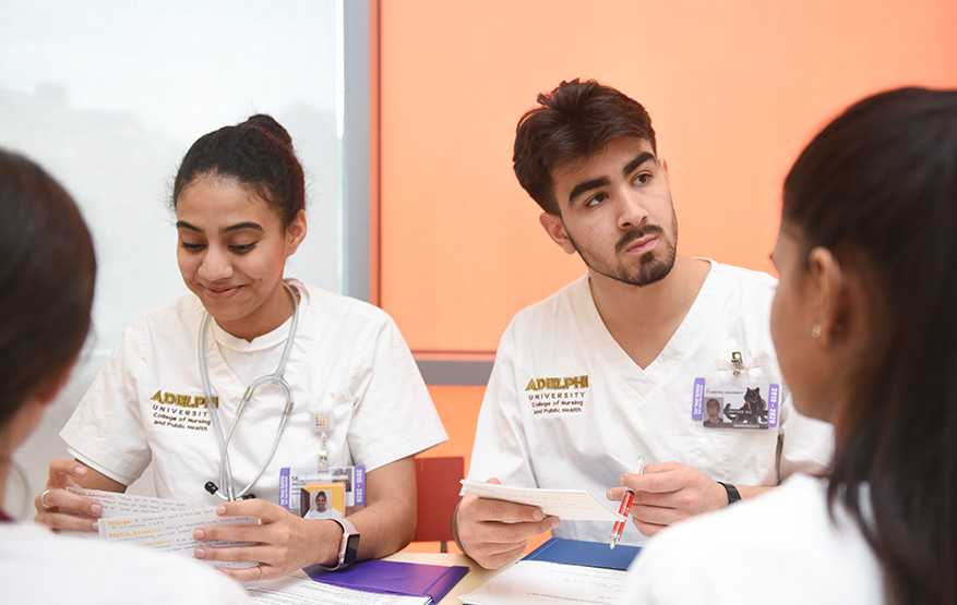 Psychiatric Nurse Practitioner Students at Adelphi