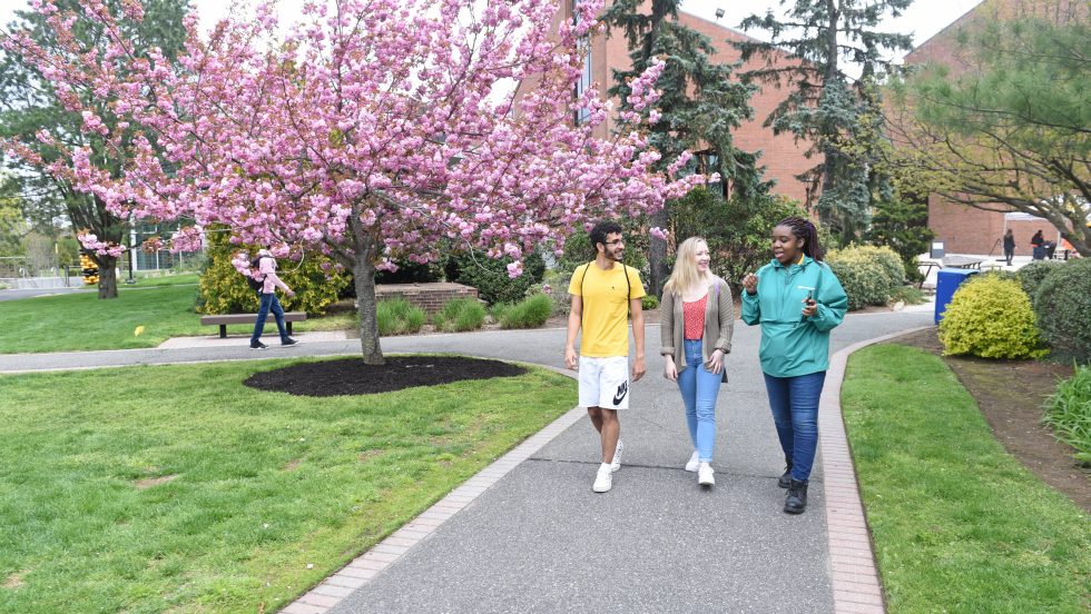 Adelphi students walking on campus near the UC