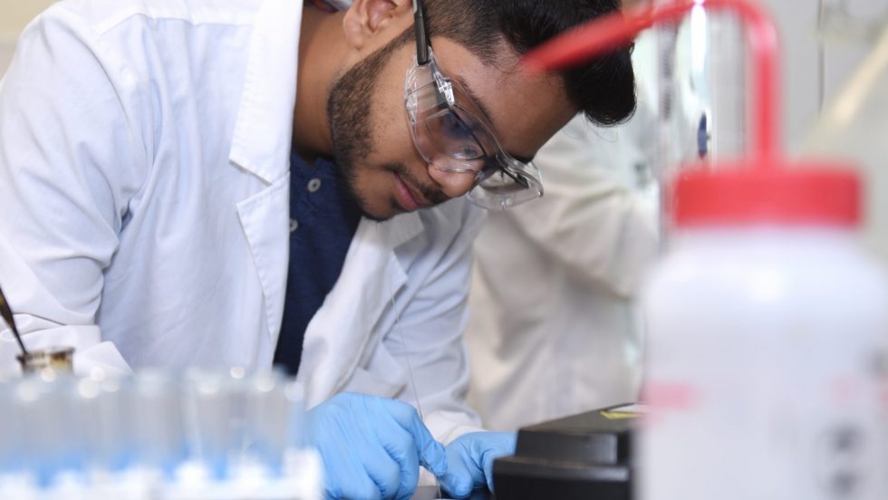 Adelphi student working in the labratory.