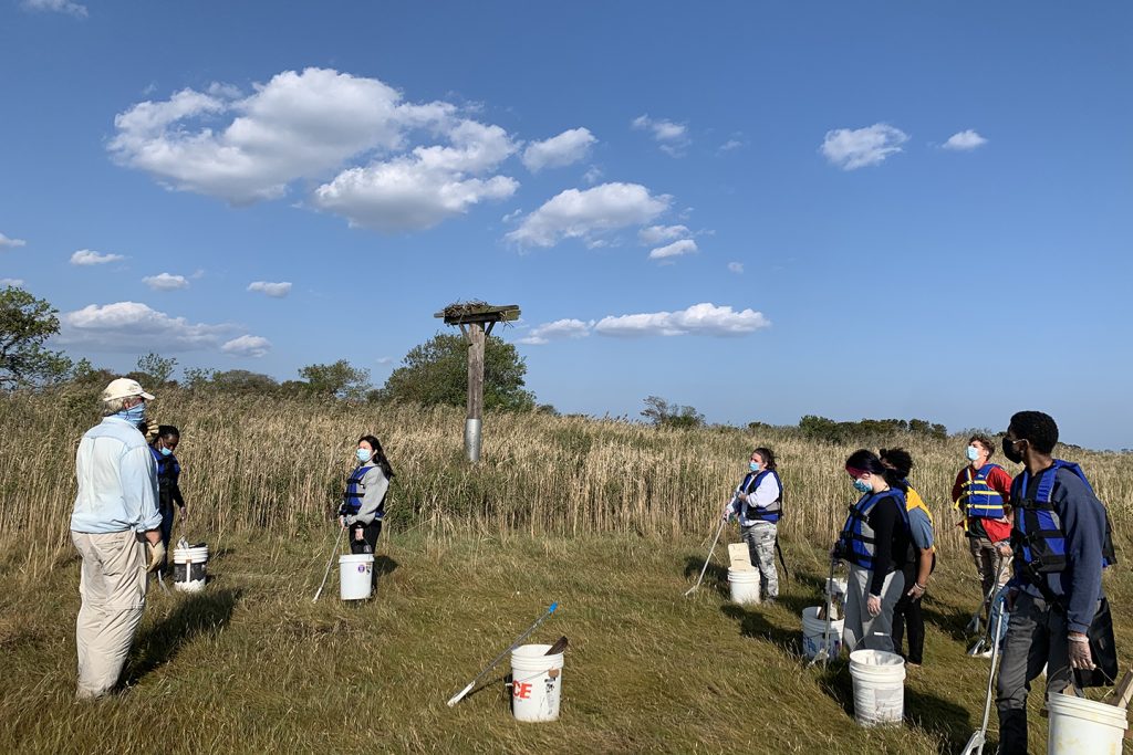 Students doing field work