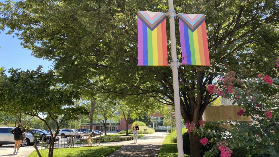 LGBTQIA+ flags on Adelphi University's campus