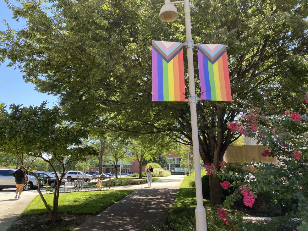 LGBTQIA+ flags on Adelphi University's campus