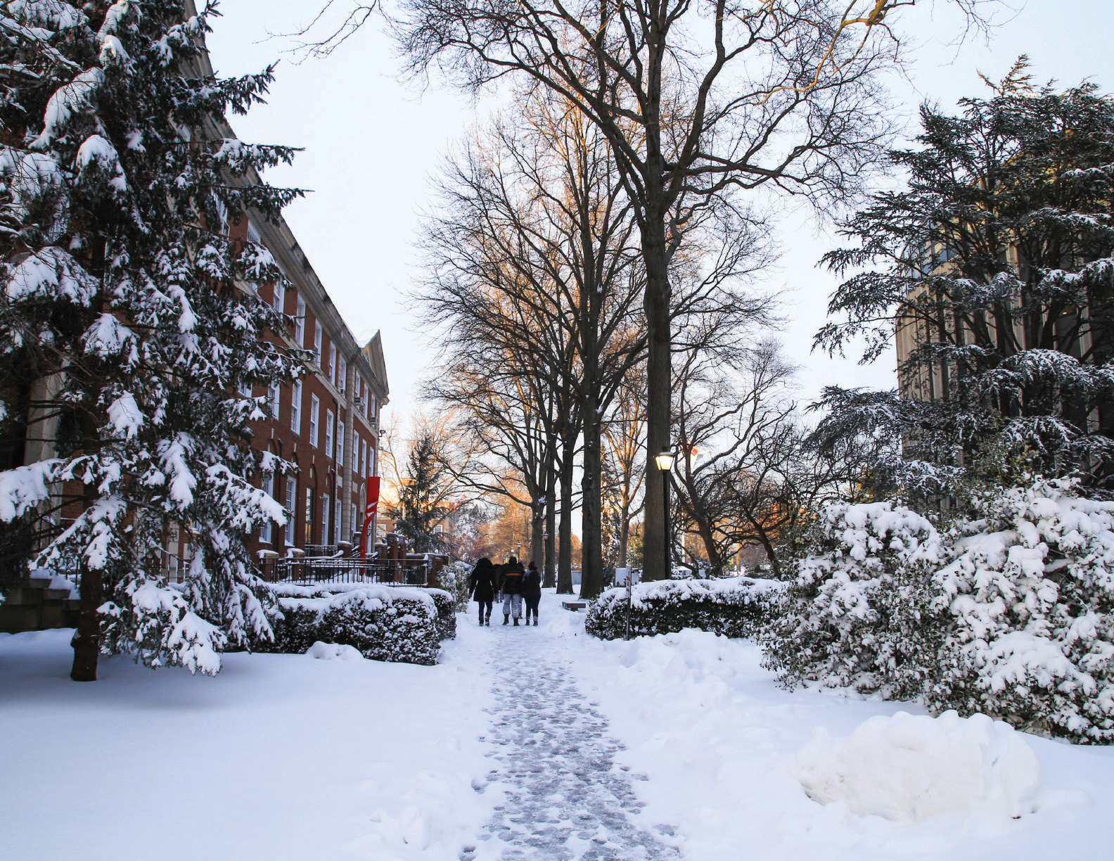 Winter Weather Preparedness | Adelphi University