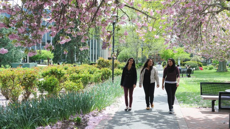 Isabella Adamo Named to Adelphi University's Spring 2019 Dean's List