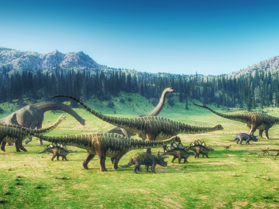 An illustration shows dinosaurs of varying sizes walking from left to right against a landscape of trees and mountains.