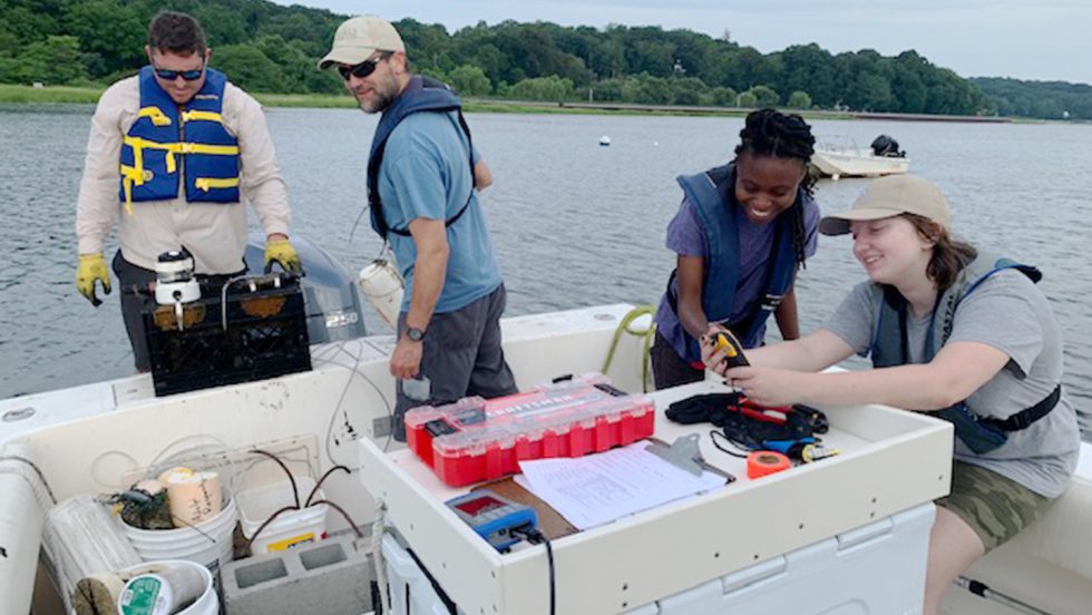 A photograph of Adelphi faculty members Ryan Wallace and Aaren Freeman aboard a boat filled with scientific equipment off the Long Island shoreline. Two student assistants are on the boat as well.