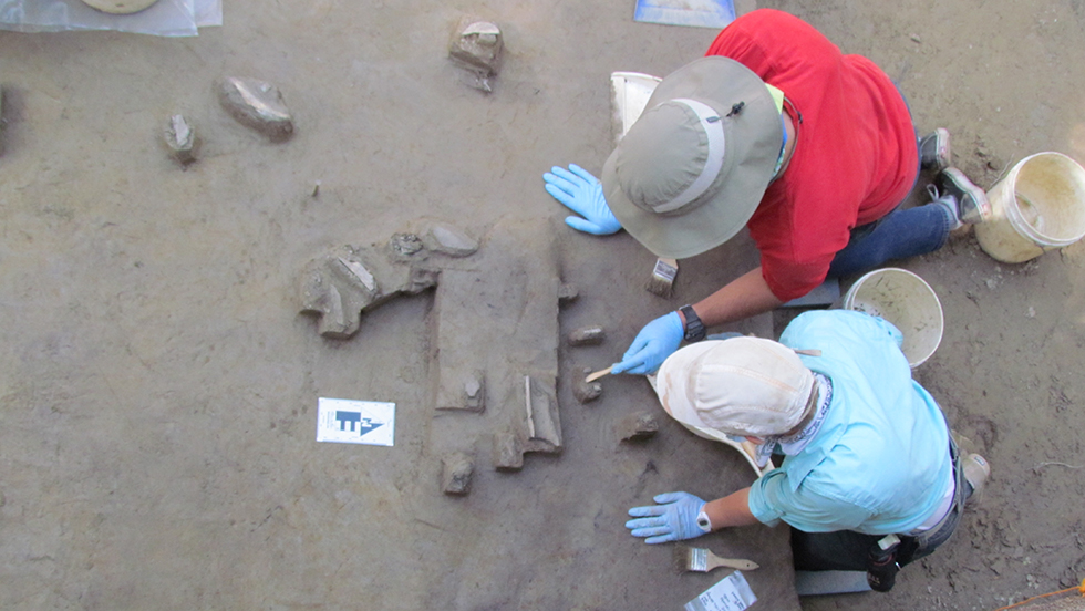 Two researchers, on their hands and knees over gray soil, work to unearth archaeological specimens using a small wooden implement and brushes.