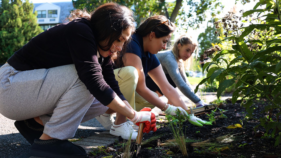 Three students squat down to plant in a garden