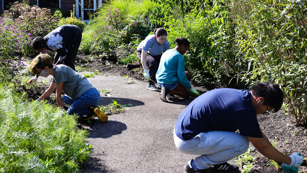 A side view of a professor and students kneeling or squatting as they work in a garden.